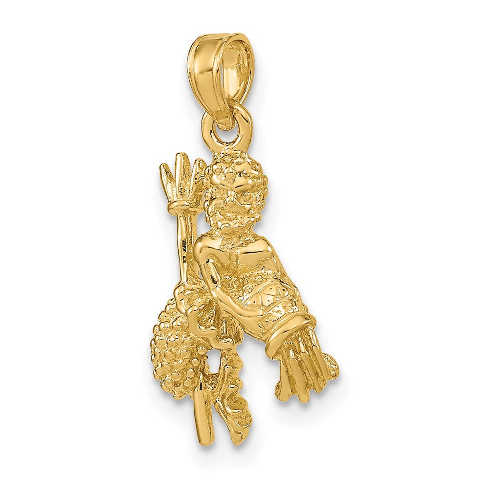 3-D Aquarius Zodiac Pendant - WBC