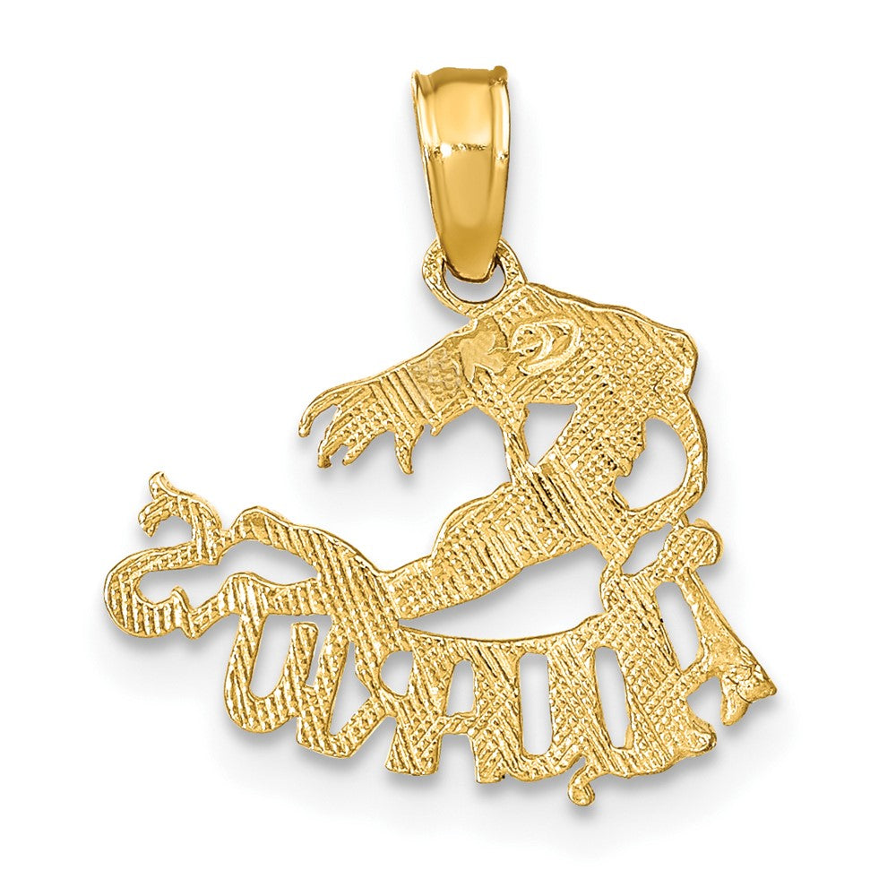 AQUARIUS Zodiac Charm - WBC