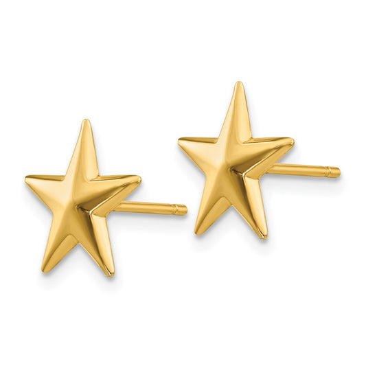 Polished Nautical Star Post Earrings - WBC