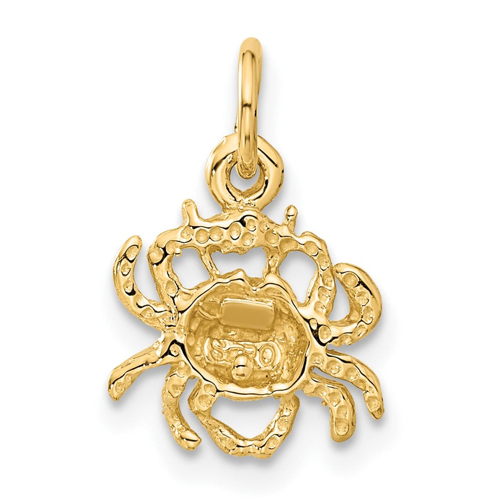 Small Satin Diamond-cut Cancer Zodiac Charm - WBC