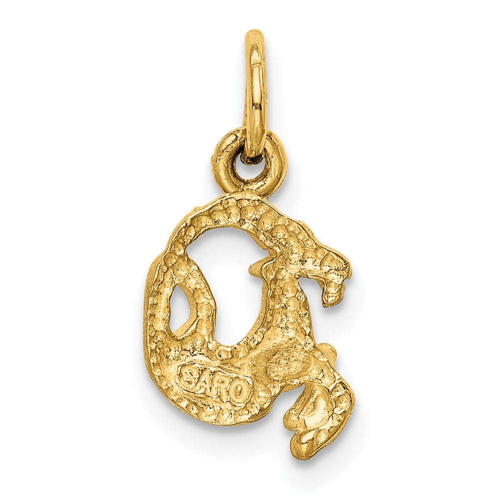 Small Satin Diamond-cut Capricorn Zodiac Charm - WBC