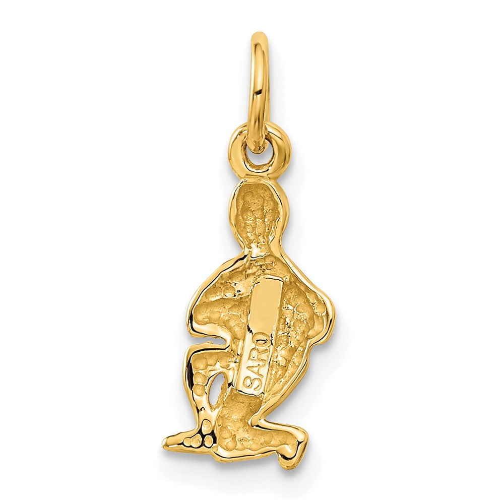 Small Satin Diamond-cut Aquarius Zodiac Charm - WBC