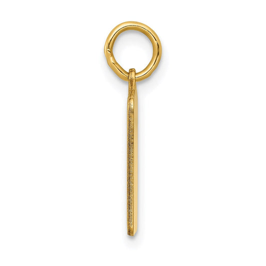 14K Gold Rosalie Enamel Pink Engravable Birth Certificate Charm, 13mm