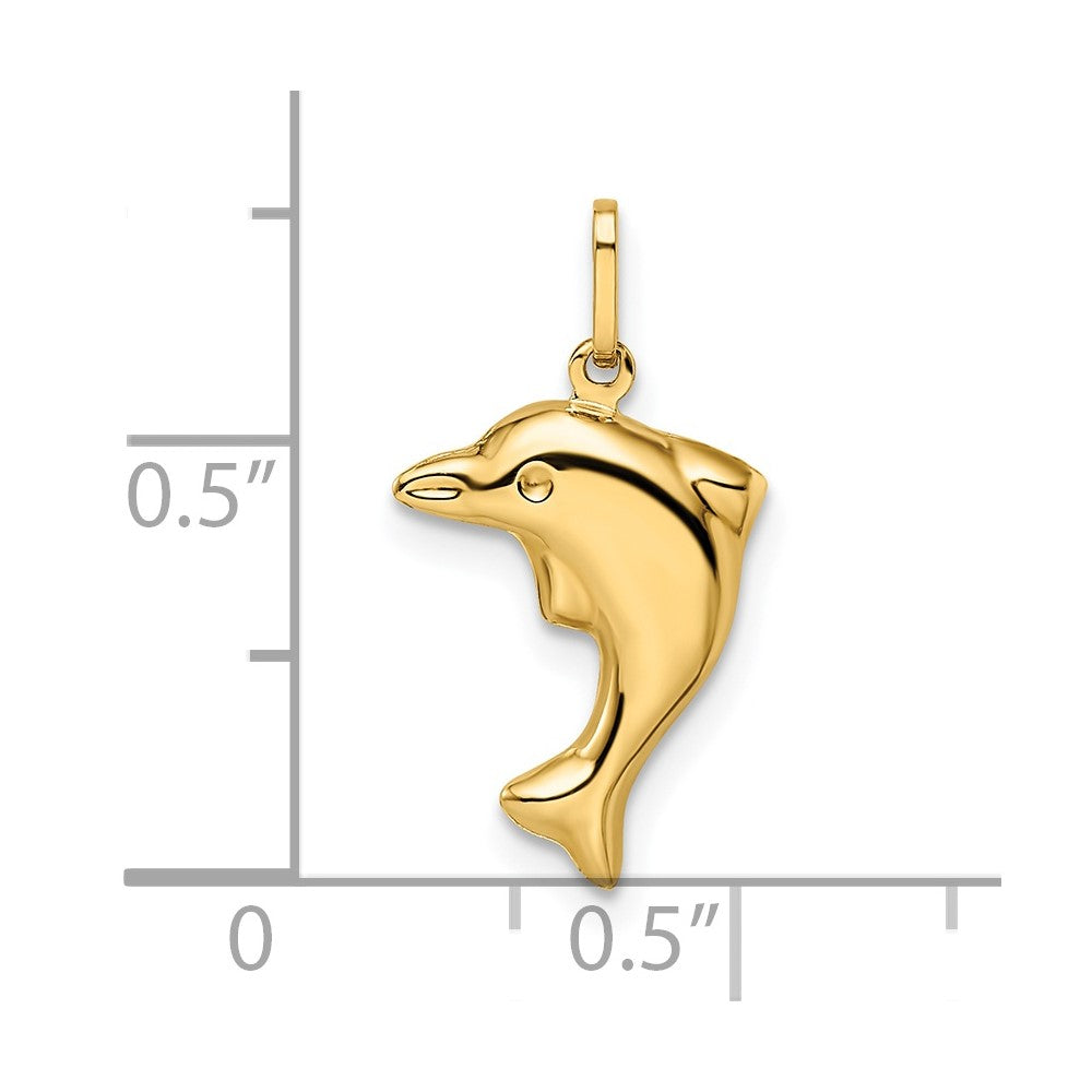 Polished 3-D Dolphin Pendant - WBC