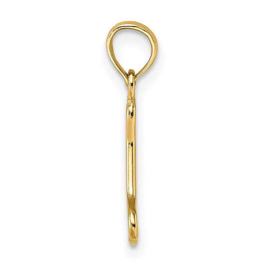 Cut-Out Polished Mini Dog Bone Charm - WBC