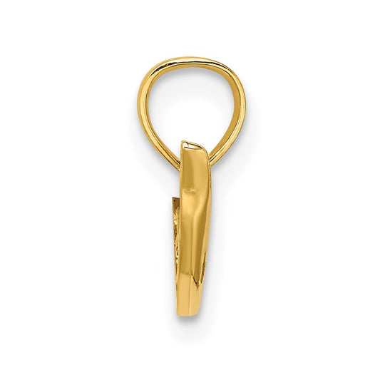 Polished Mini Dolphin Charm - WBC