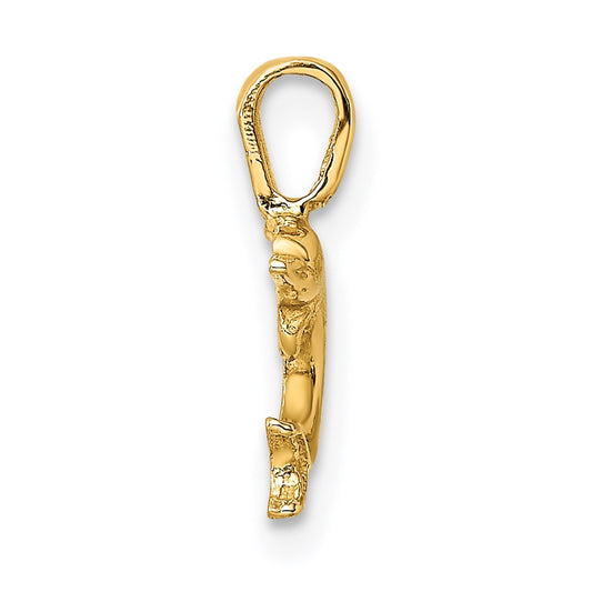 Mini Jumping Dolphin with Fixed Bail Charm - WBC