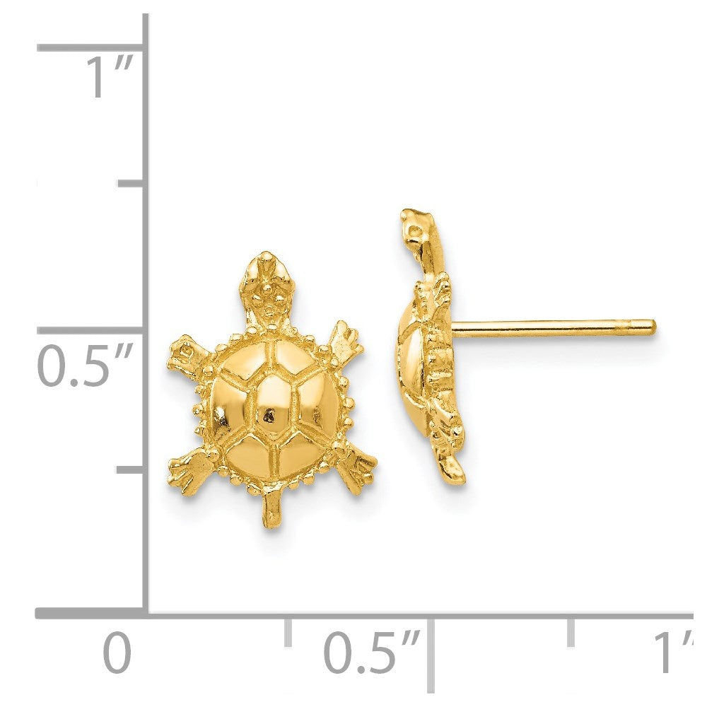 Polished Turtle Post Earrings - WBC