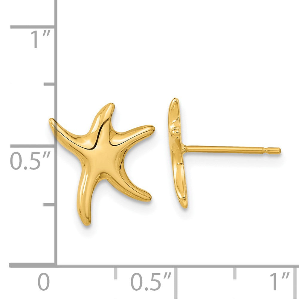 Polished Starfish Post Earrings - WBC