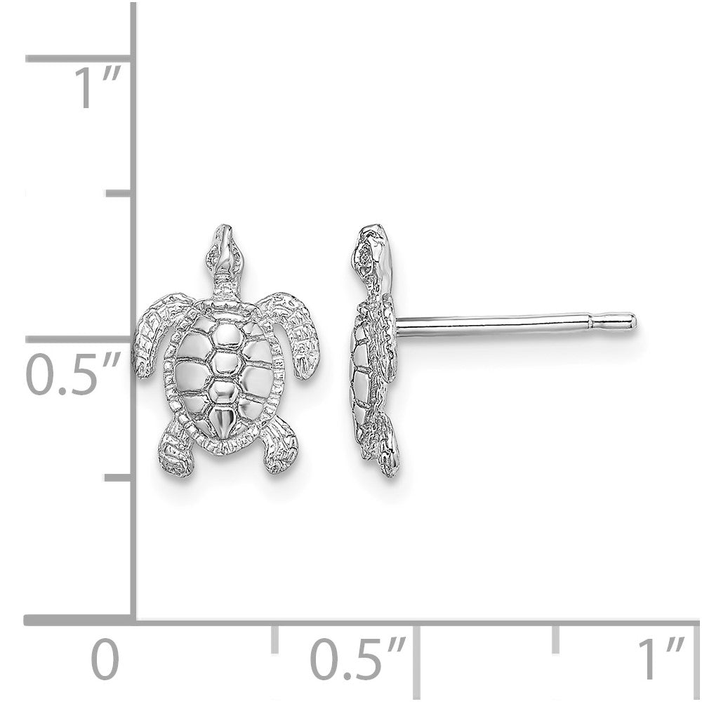 Polished and Textured Sea Turtle Post Earrings - WBC