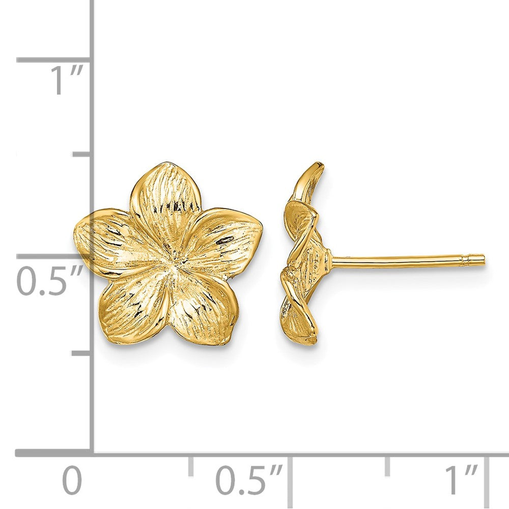 Textured Plumeria Flower Post Earrings - WBC