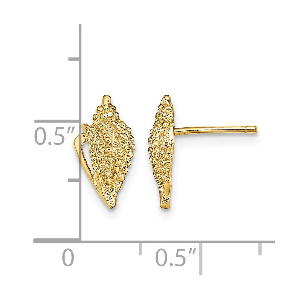 Mini Conch Shell Post Earrings - WBC