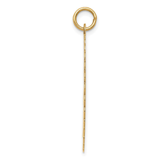 50th ANNIVERSARY Engravable Disc Charm - WBC