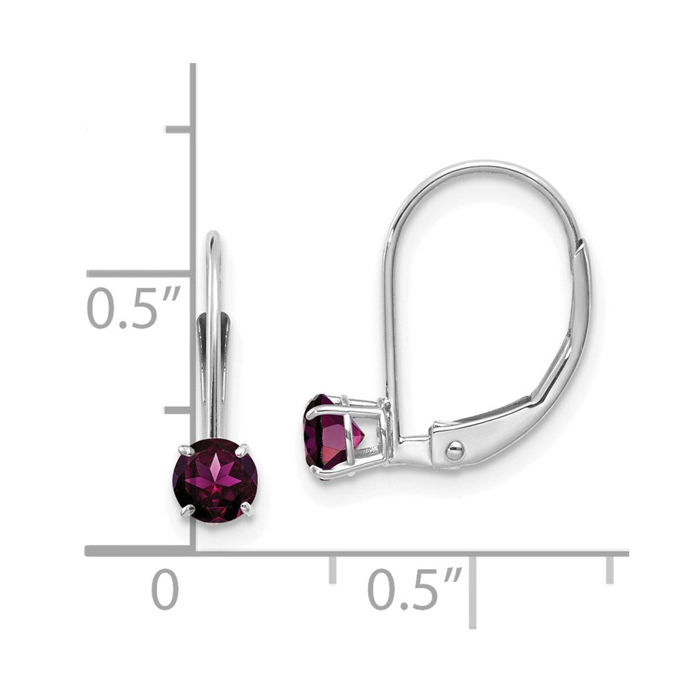 Round June/Rhodolite Garnet Leverback Earrings - WBC