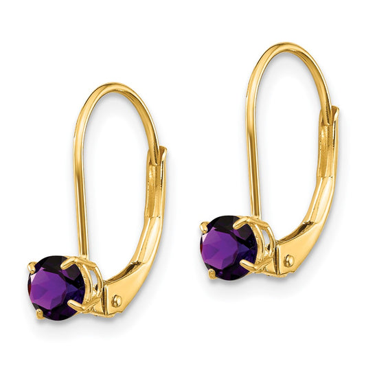 Round February/Amethyst Leverback Earrings - WBC