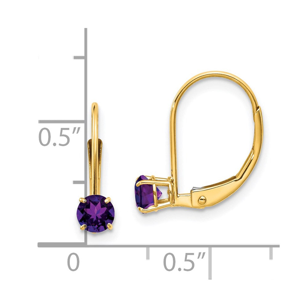 Round February/Amethyst Leverback Earrings - WBC