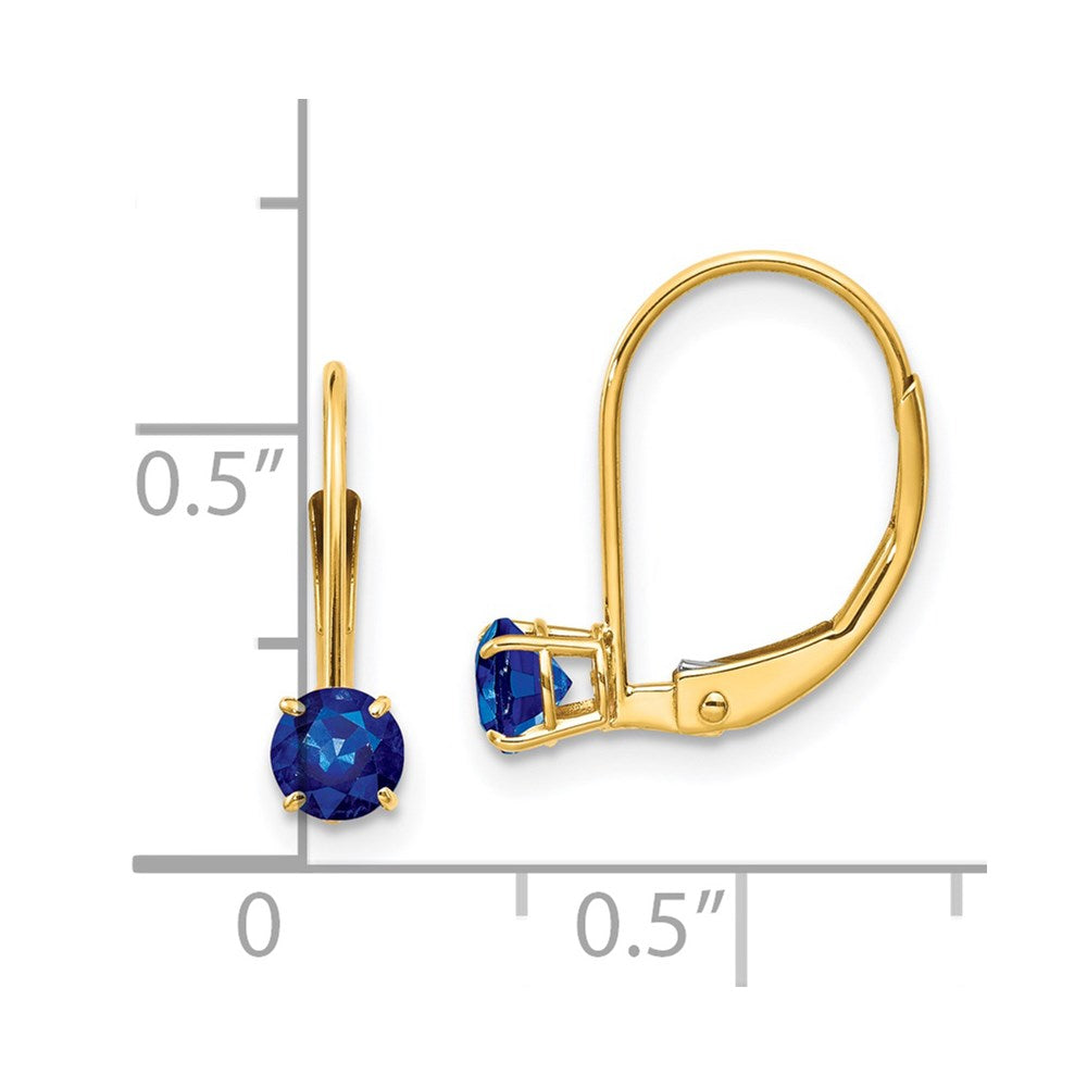 Round September/Sapphire Leverback Earrings - WBC