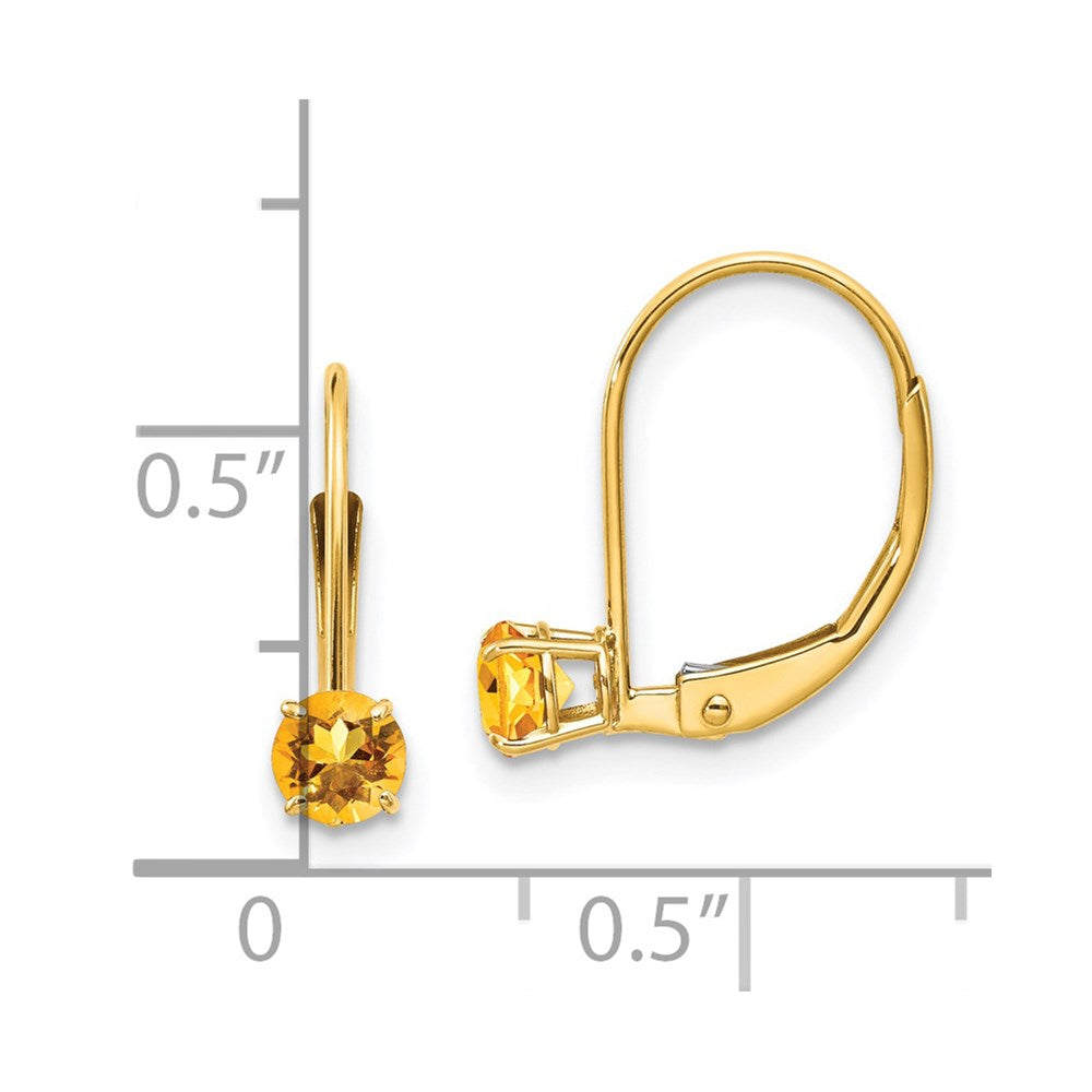 Round November/Citrine Leverback Earrings - WBC