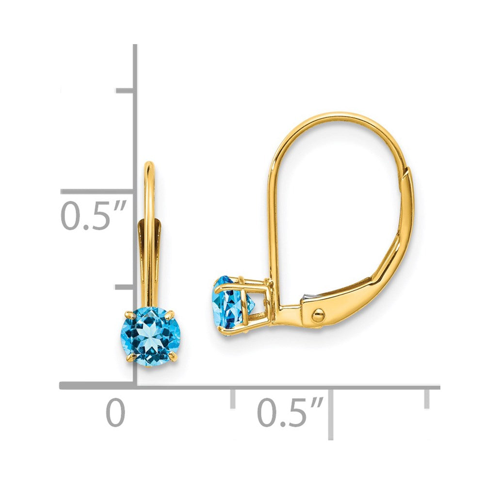 Round December/Blue Topaz Leverback Earrings - WBC