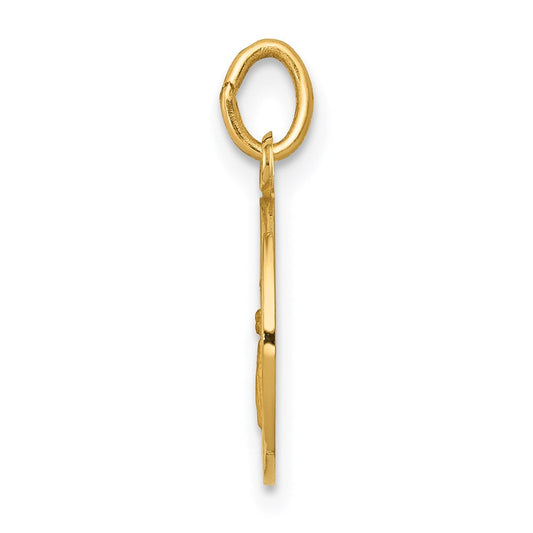 14K Gold Polished & Satin Solid Our Guardian Angel Medal Charm, 11.75mm