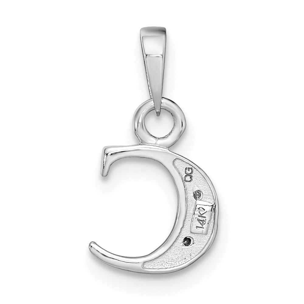 with Rhodium Diamond Letter C Initial Pendant - WBC