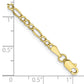 Semi-Solid Figaro Chain Anklet - WBC
