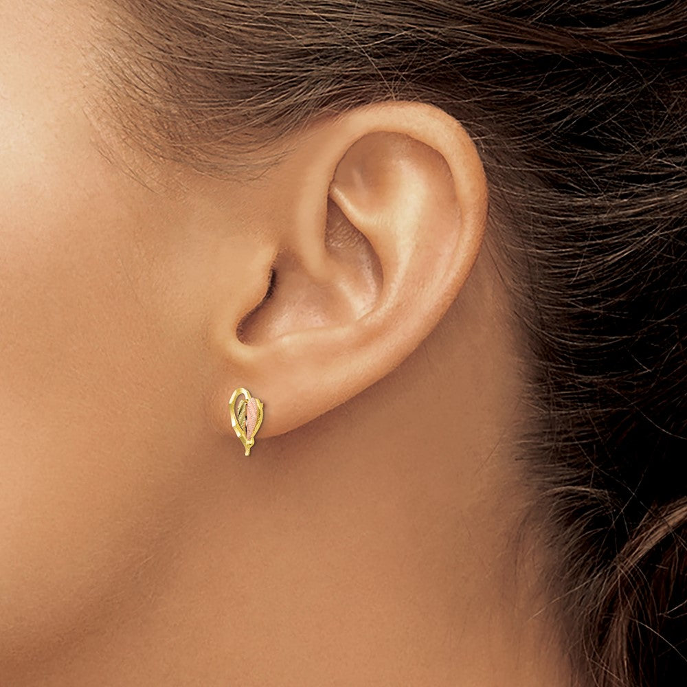 and Tri-color Black Hills Heart Leaf Post Earrings - WBC