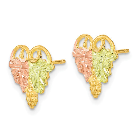 and Tri-color Black Hills Grapes and Leaves Post Earrings - WBC