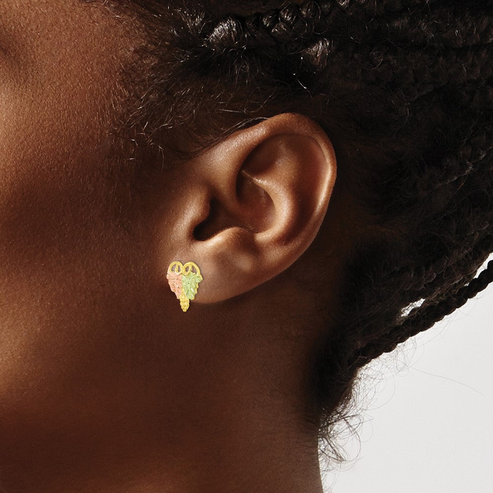 and Tri-color Black Hills Grapes and Leaves Post Earrings - WBC