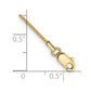 . Box Chain - WBC