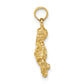 3-D Aquarius Zodiac Pendant - WBC