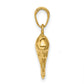 3-D Dolphin Pendant - WBC