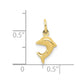 Dolphin Charm - WBC