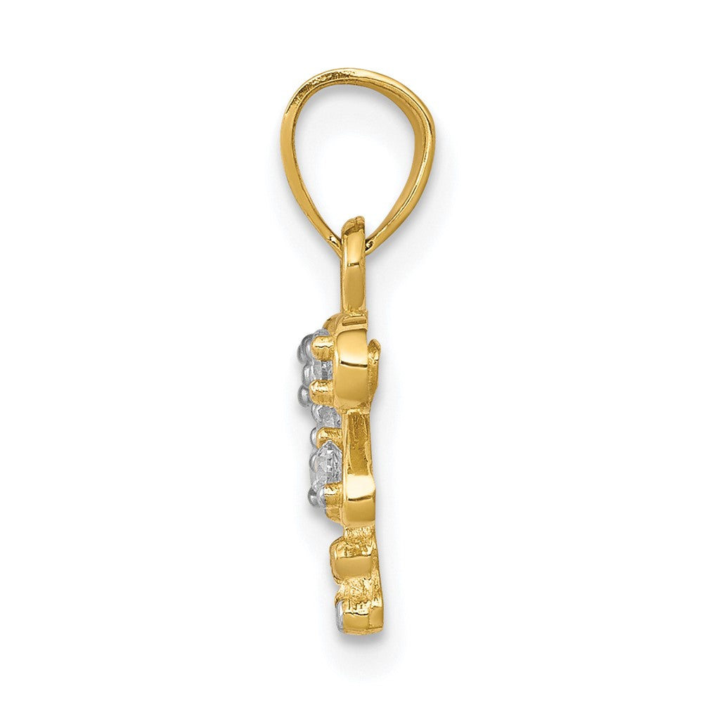 and Rhodium CZ Dragonfly Charm - WBC