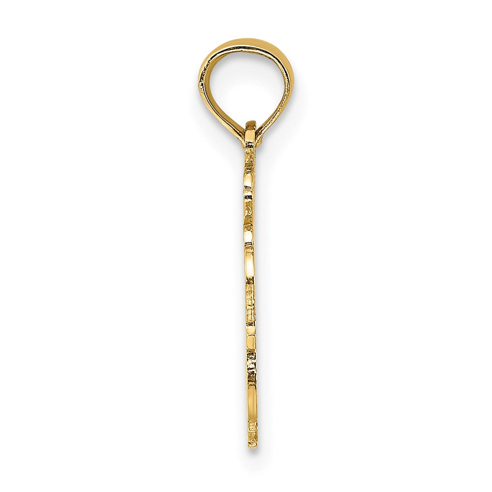 100% AQUARIUS Zodiac Charm - WBC