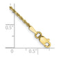 Diamond-cut Rope Chain Anklet - WBC