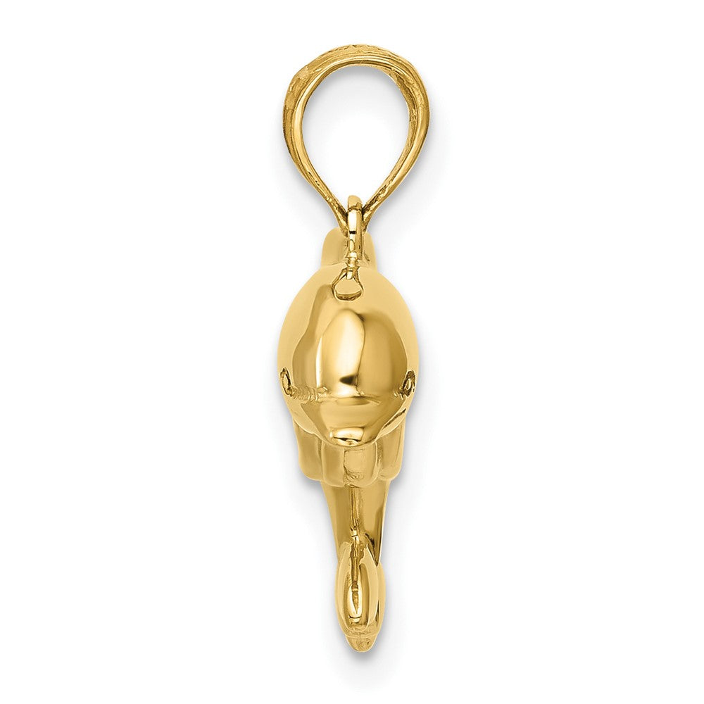 Jumping Dolphin Pendant - WBC