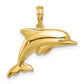 Jumping Dolphin Pendant - WBC