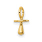 Polished 3-D Pacifier Charm - WBC