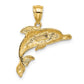 2-D Polished and Engraved Dolphin Charm - WBC