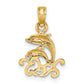 Textured Mini Double Dolphins and Waves Charm - WBC