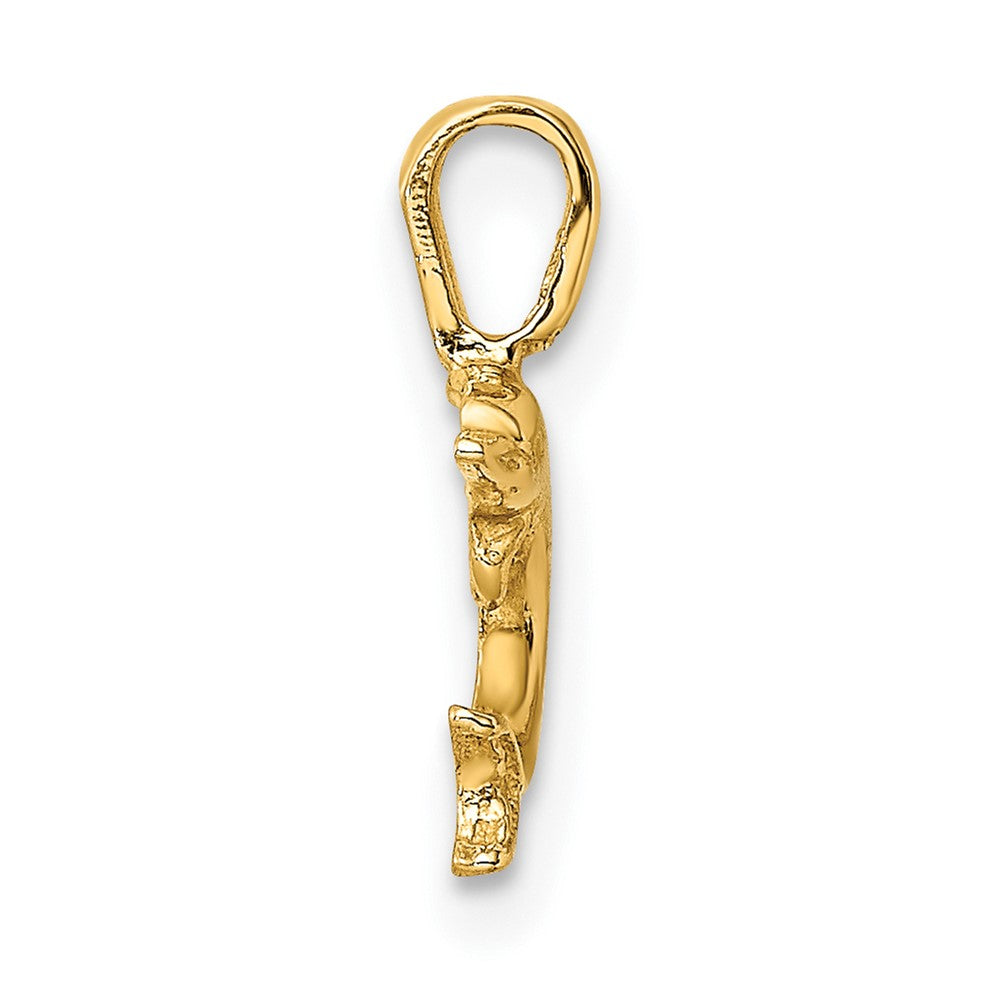 Mini Jumping Dolphin with Fixed Bail Charm - WBC