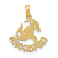 CAPRICORN Zodiac Charm - WBC
