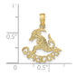 CAPRICORN Zodiac Charm - WBC