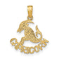 CAPRICORN Zodiac Charm - WBC