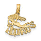 AQUARIUS Zodiac Charm - WBC