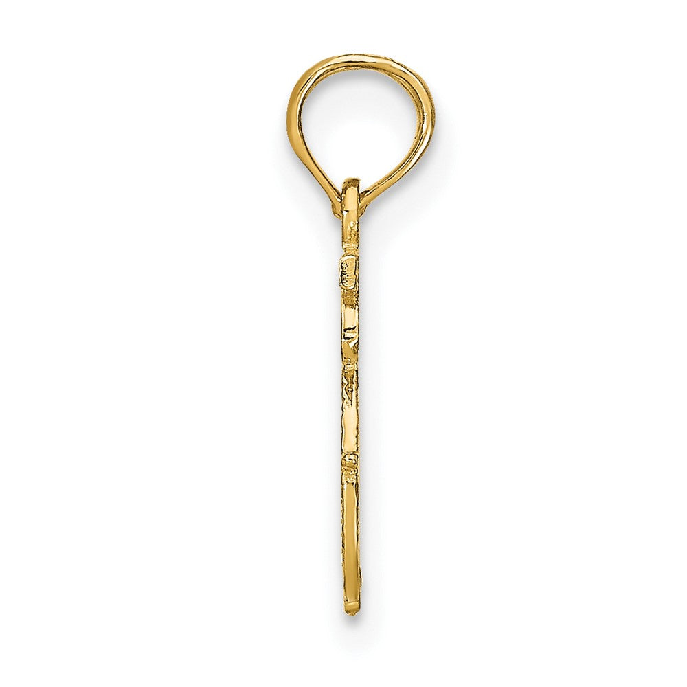 ARIES Zodiac Charm - WBC