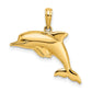 and Rhodium 3-D Reversible Puffed Dolphin Charm - WBC