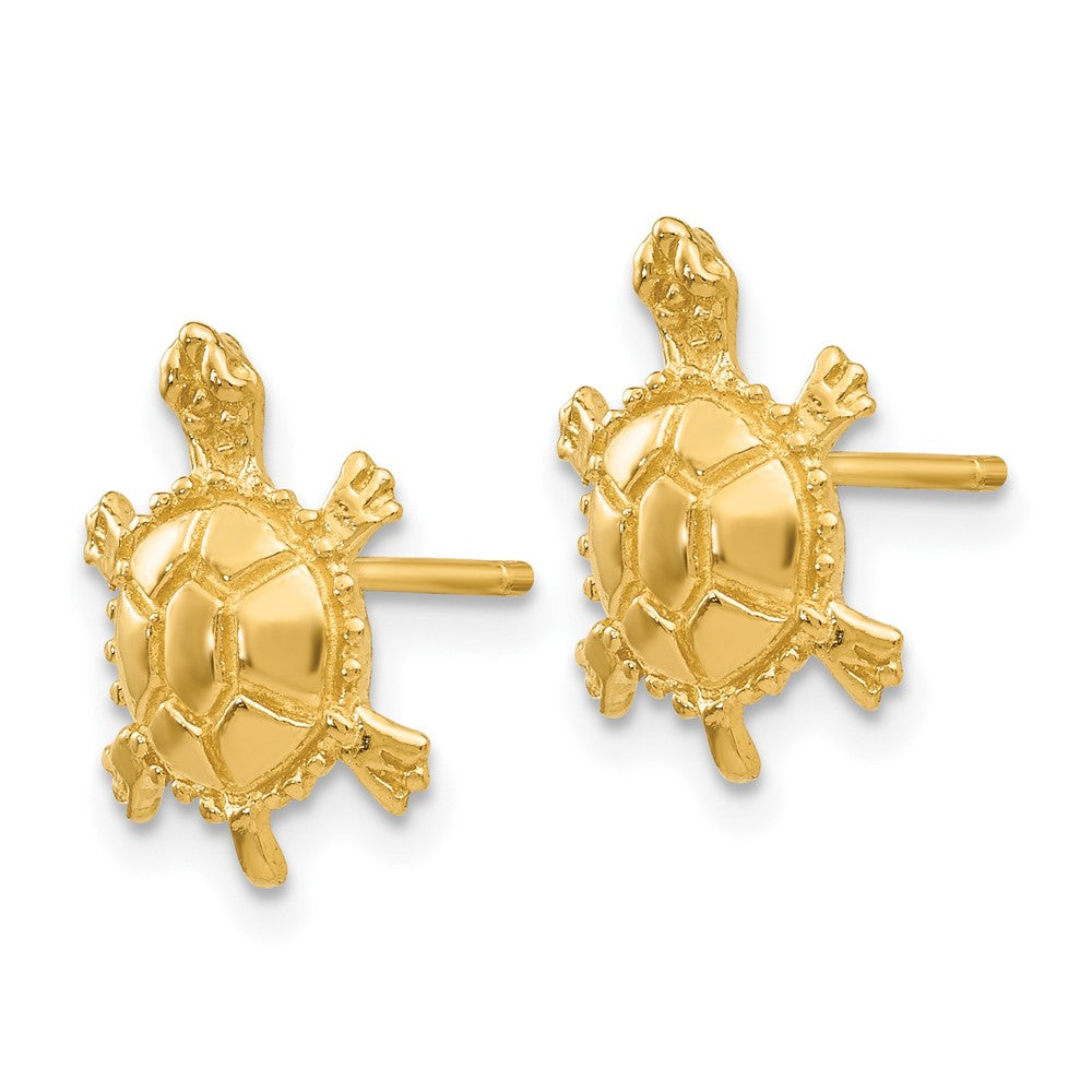 Turtle Post Earrings - WBC