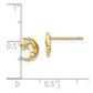 Moon and Star Post Earrings - WBC